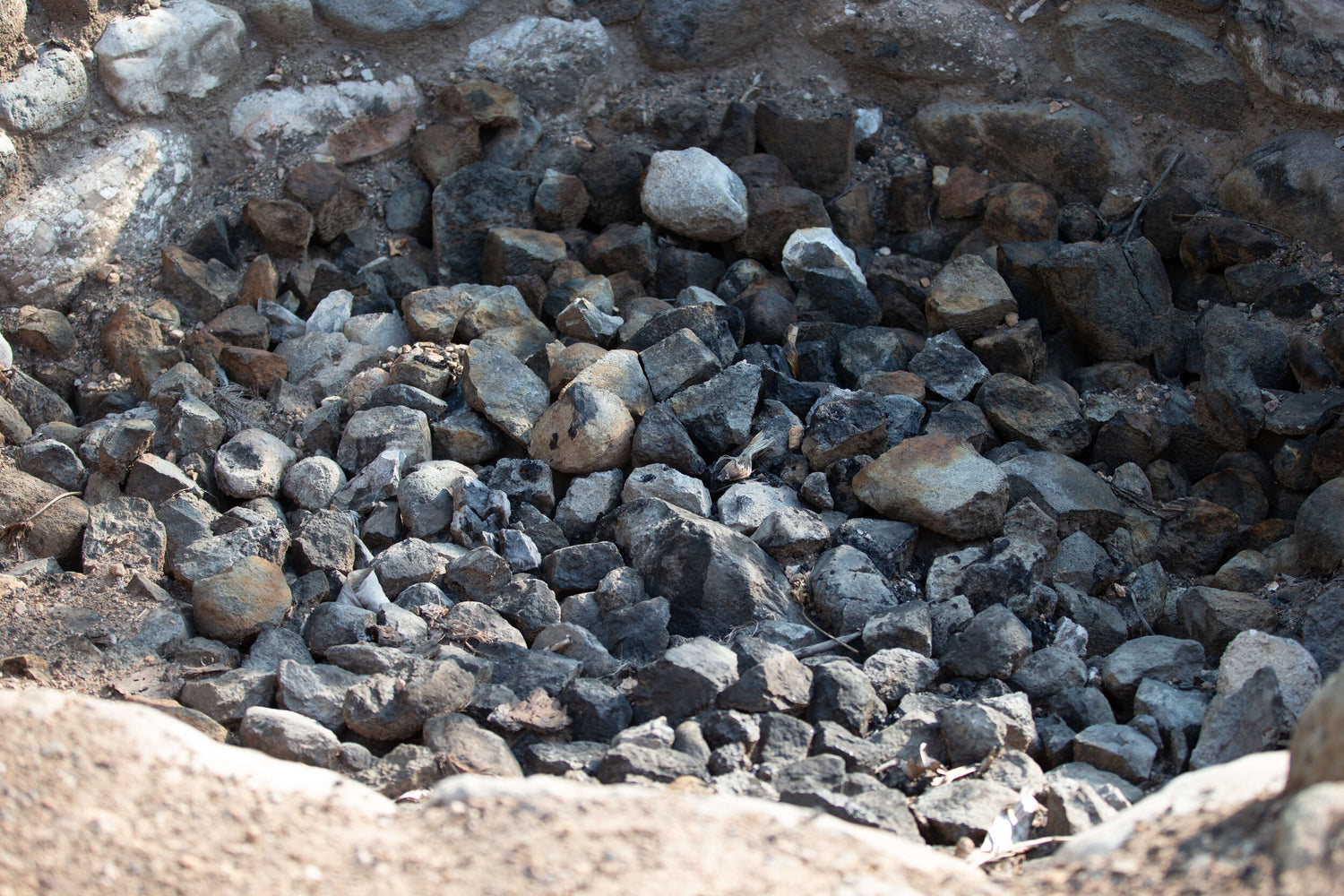 One major difference that should be noted is mezcal being cooked in pits or earthen ovens (roasted underground) which gives it its smokey essence while tequila is known to be “steamed” inside ovens. This is why tequila doesn’t carry mezcals smokey characteristic.